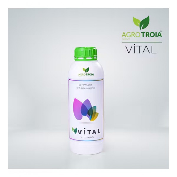 Vital 5-11-11+Me