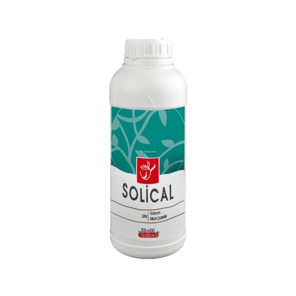 SOLİCAL